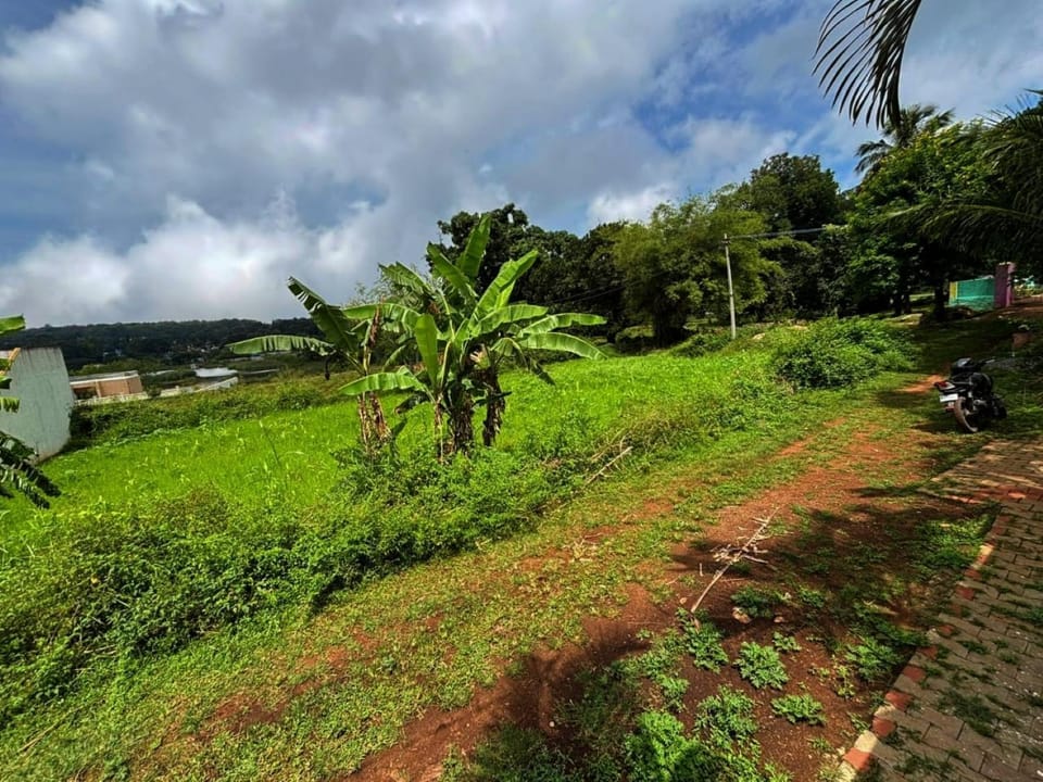 Spring, Day, Natural landscape, Garden, Garden view