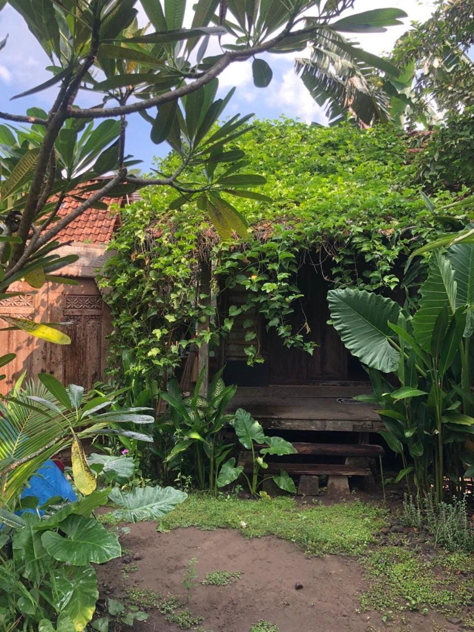 Omah Guyub 2 Inn in Special Region of Yogyakarta