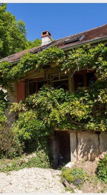 Property building, Spring, Garden, Garden view