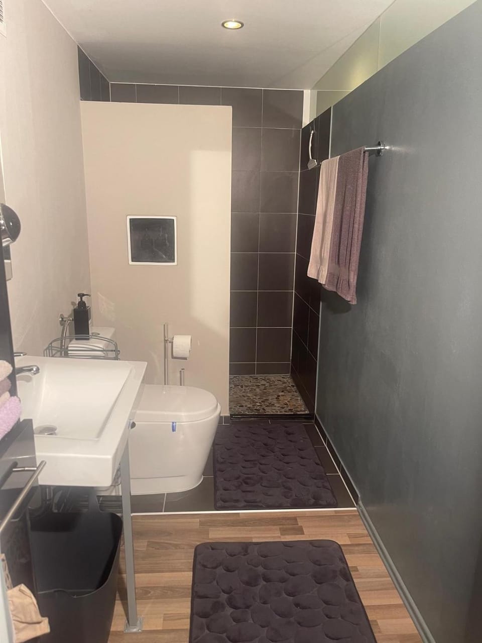 Shower, Toilet, Bathroom