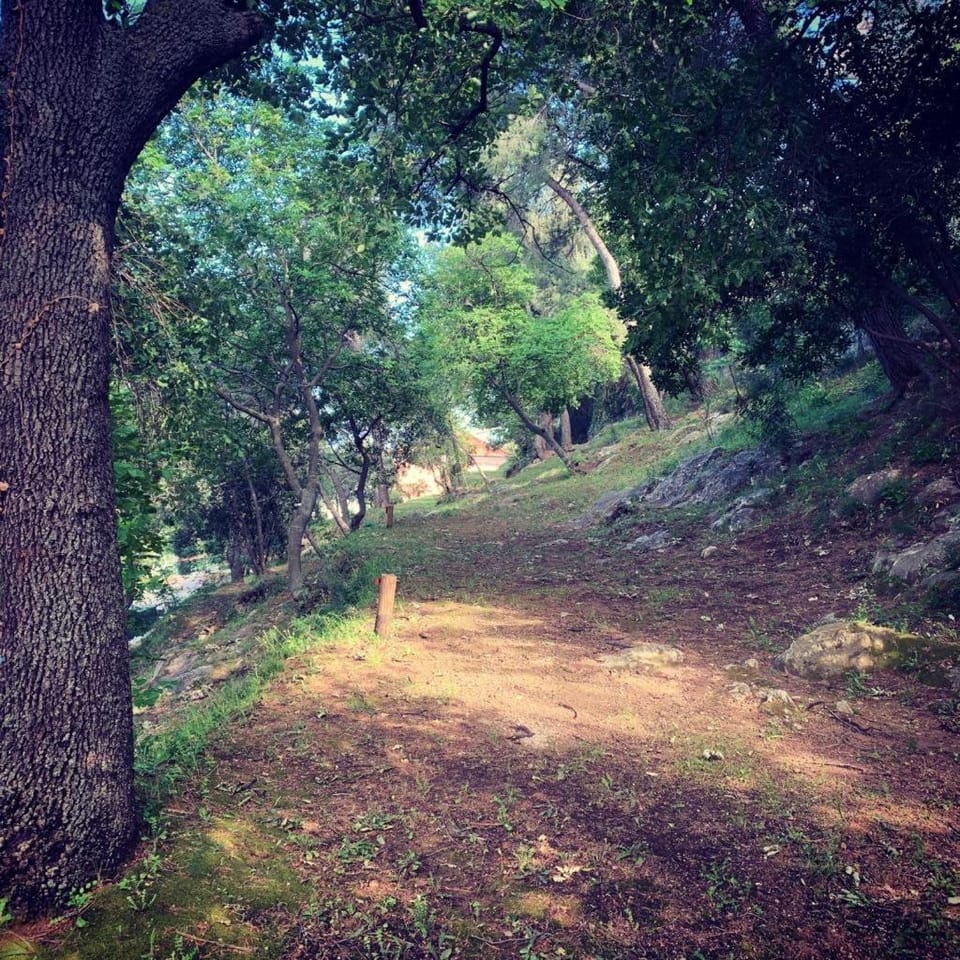 Parco vacanze e appartamenti Pfirsich Campground/ 
RV Resort in Liguria