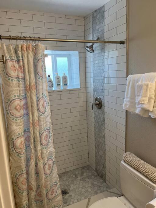 Cozy 1 bedroom in the heart of Brighton Apartment in Brighton