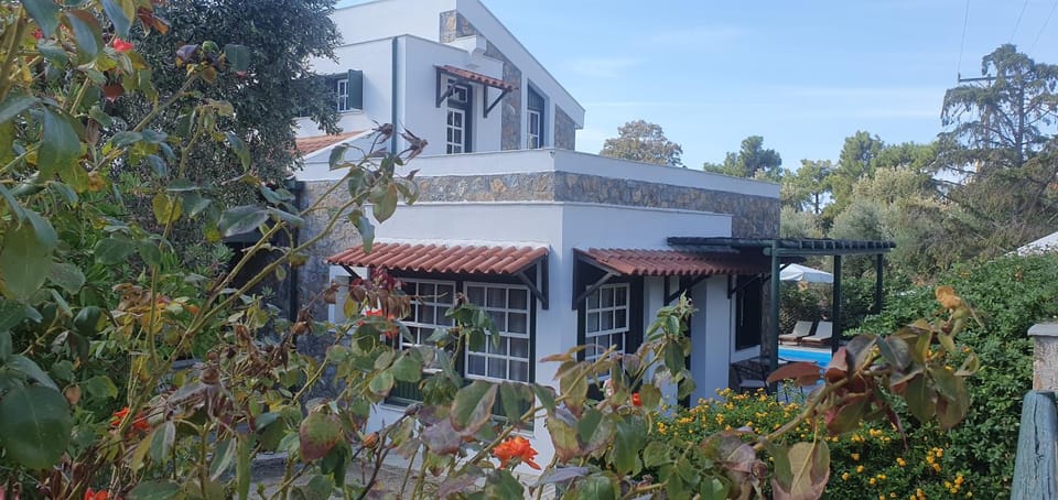 Property building, Day, Garden, Garden view, Pool view, Swimming pool, Swimming pool, Swimming pool