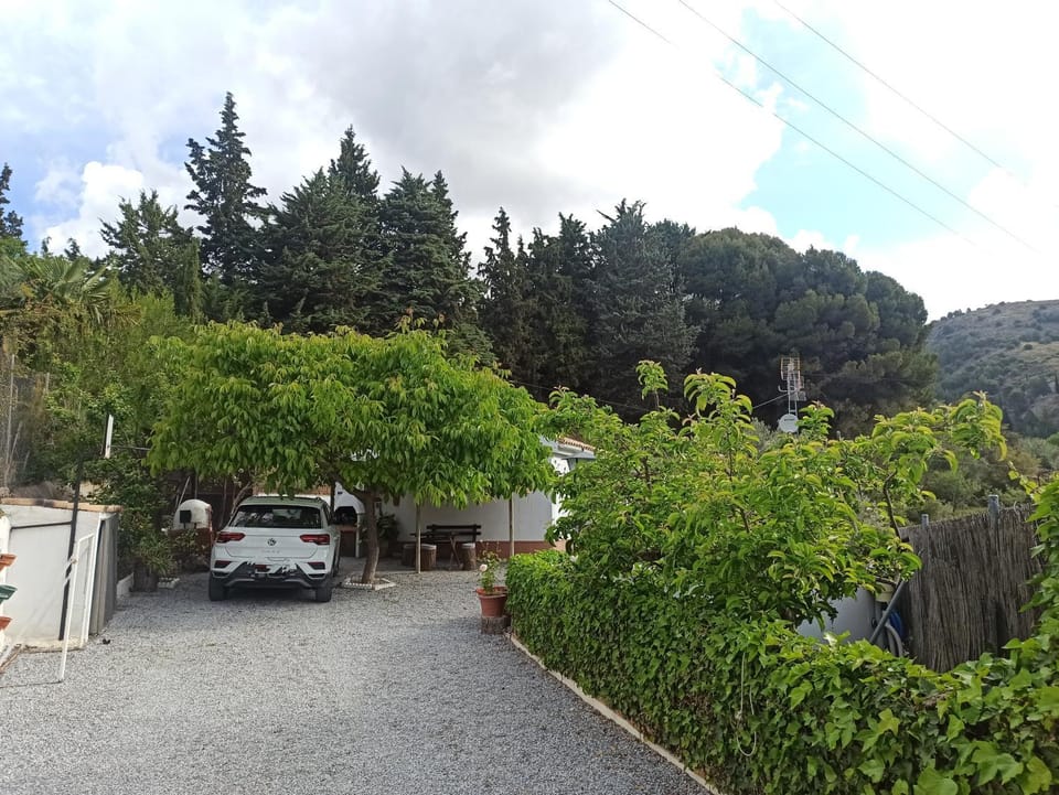 Natural landscape, Garden, Parking