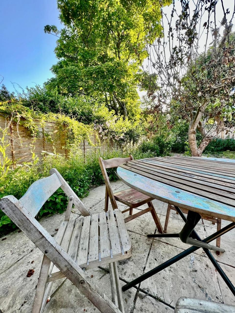 Cosy Ground Floor Apartment Apartment in Bexhill