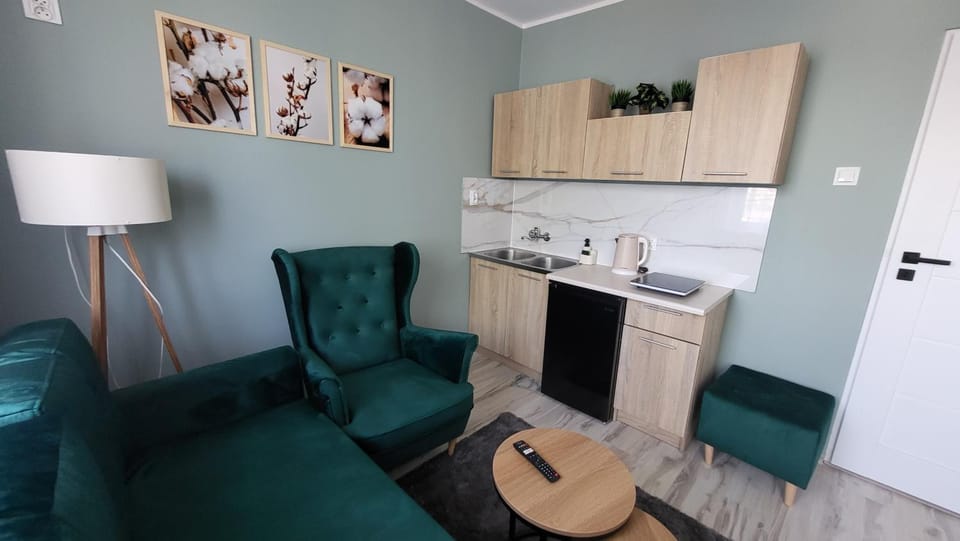 Kitchen or kitchenette, Living room, Seating area, pet friendly