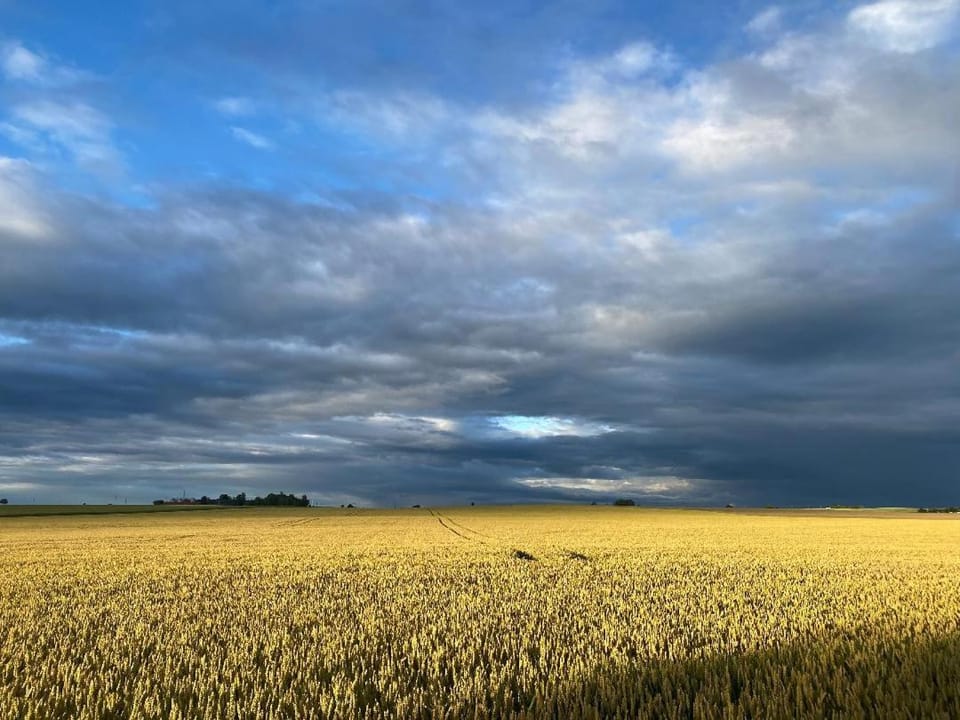 Natural landscape