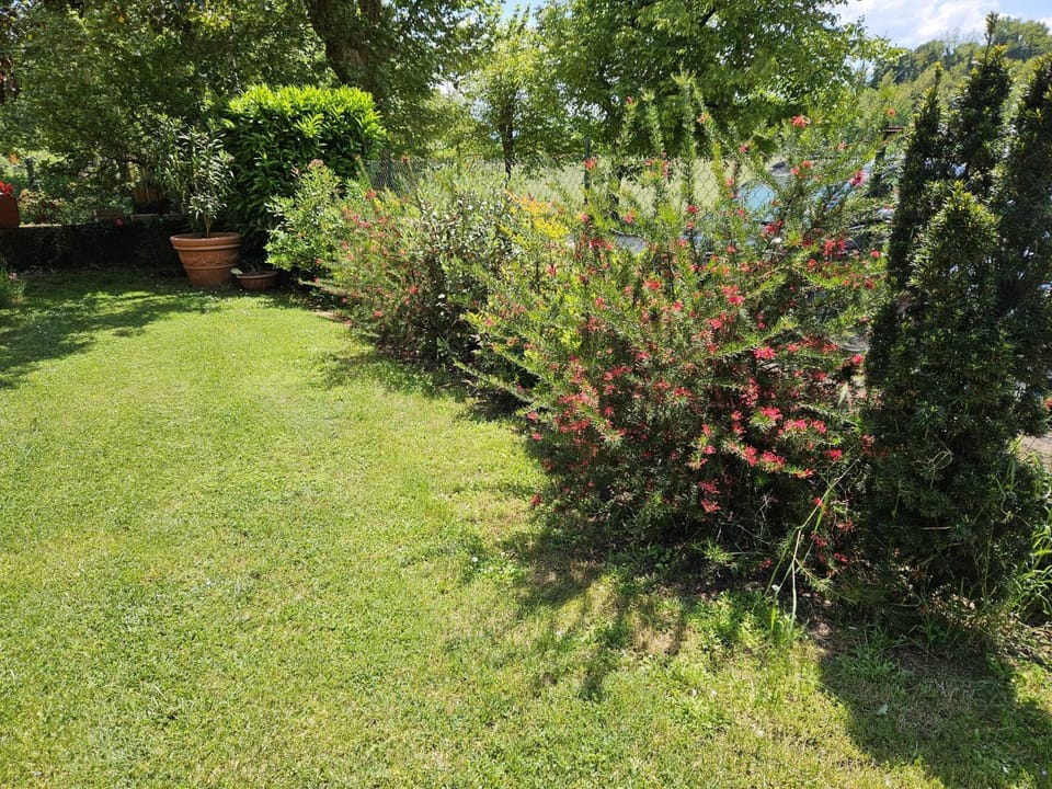 Garden, Garden