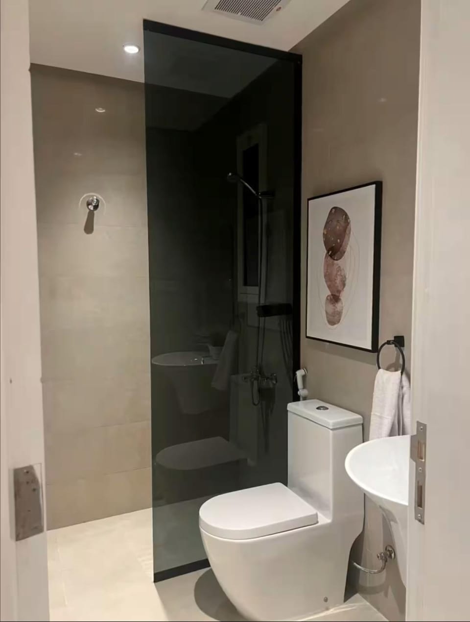 Shower, Toilet, Bathroom, bidet