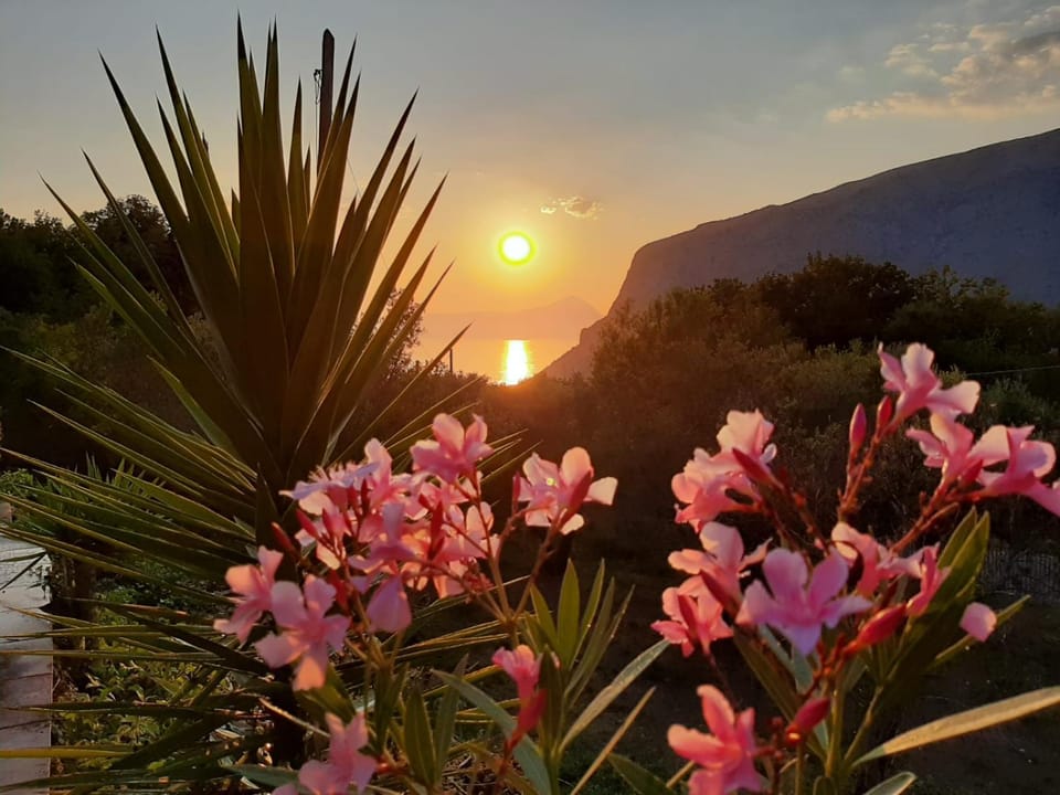 Lulù - Il "Vecchio Geco" B&b in Maratea House in Maratea