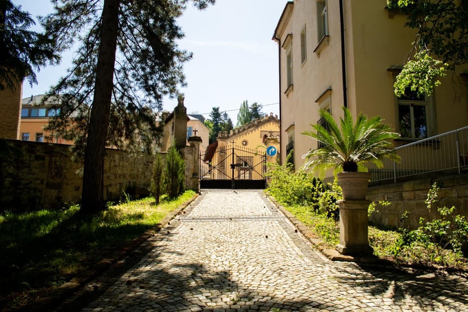 Spring, Garden view, Street view