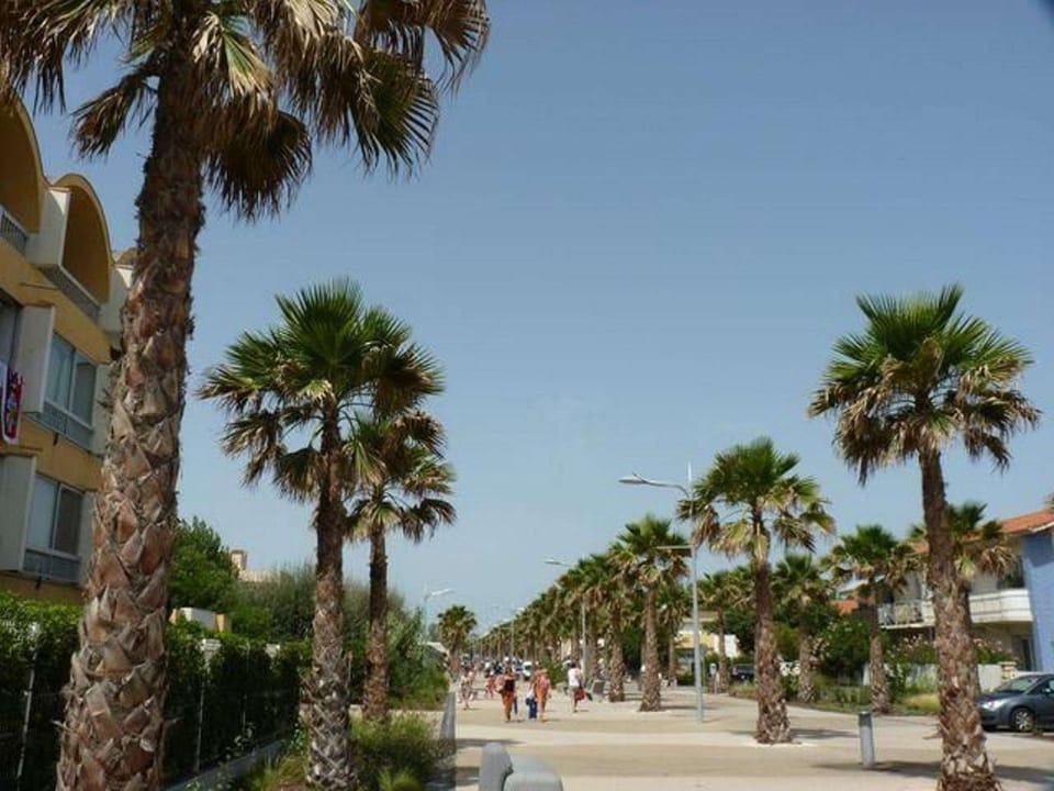 Appartement T1 avec Terrasse, Parking, Proche Plage et Commodités - FR-1-387-207 Apartment in Marseillan