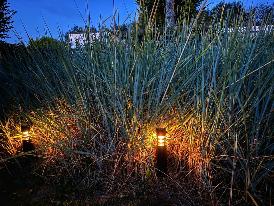 Breskens Chalet Strandleben Breskens mit Zaun Hausnr B75 House in Zeeland, Netherlands