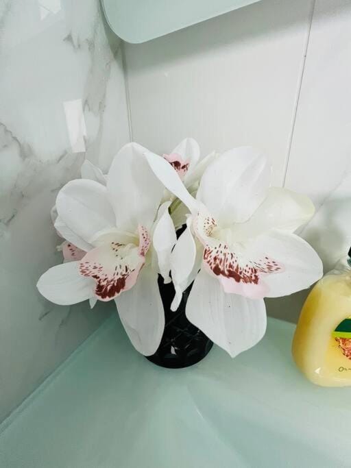 Matuhi Deluxe 2 bedrooms unit Apartment in Auckland