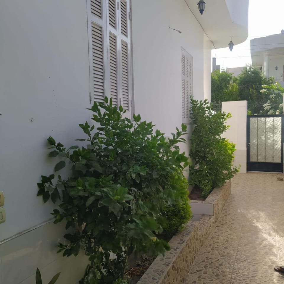 Property building, Garden view