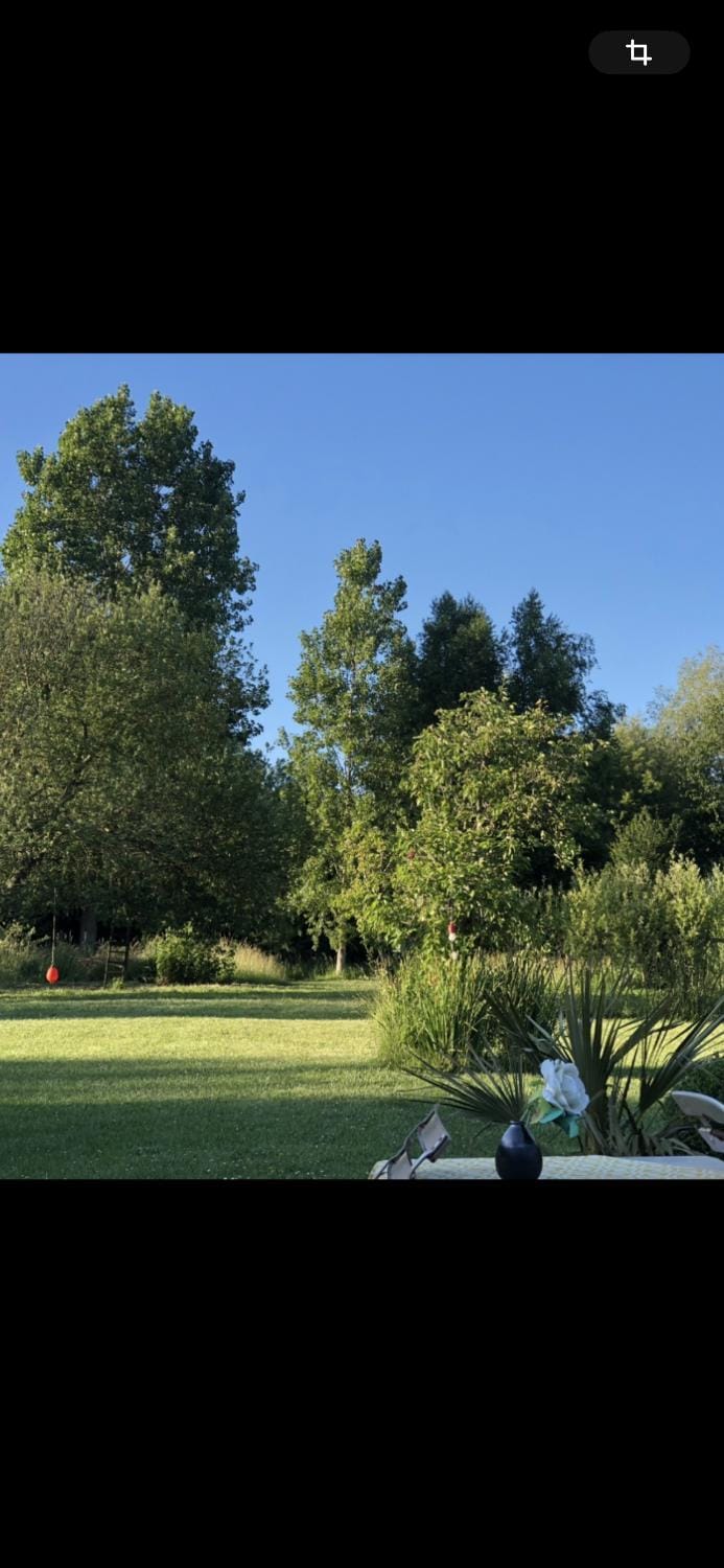 Garden view