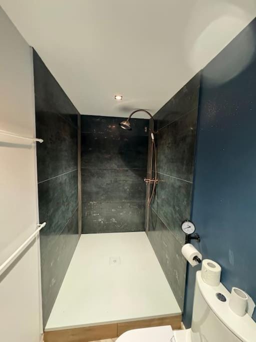 Appartement T1 4 Pers Clim parking privé Apartment in Vosges