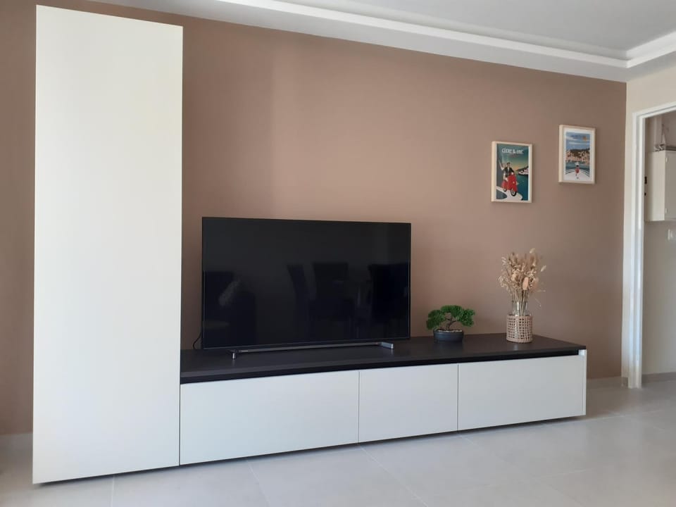 TV and multimedia