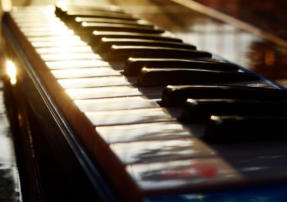 Nightclub / DJ, Evening entertainment, Area and facilities, Entertainment