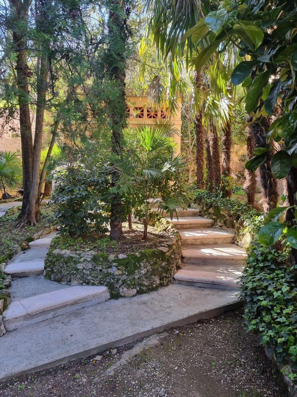 Natural landscape, Garden, Garden, Garden view