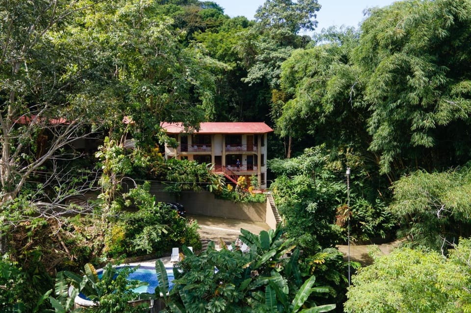 Cozy AC EcoCondo 4 with Pool Wildlife Visits Apartment in Quepos