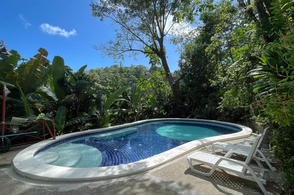 EcoCondo 5 in Secured Community Paradise w pool Apartment in Quepos