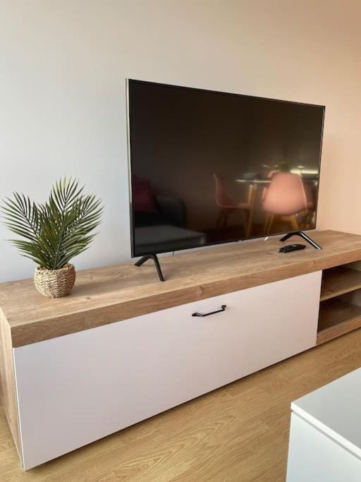 TV and multimedia