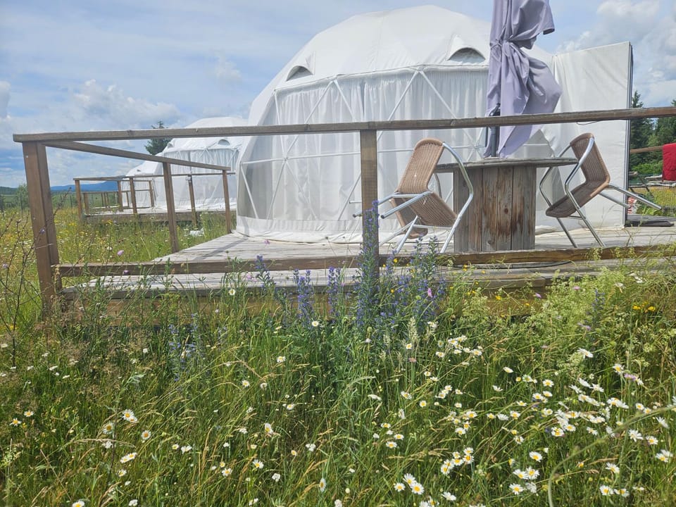 Glamping 4 us Luxury tent in Romania