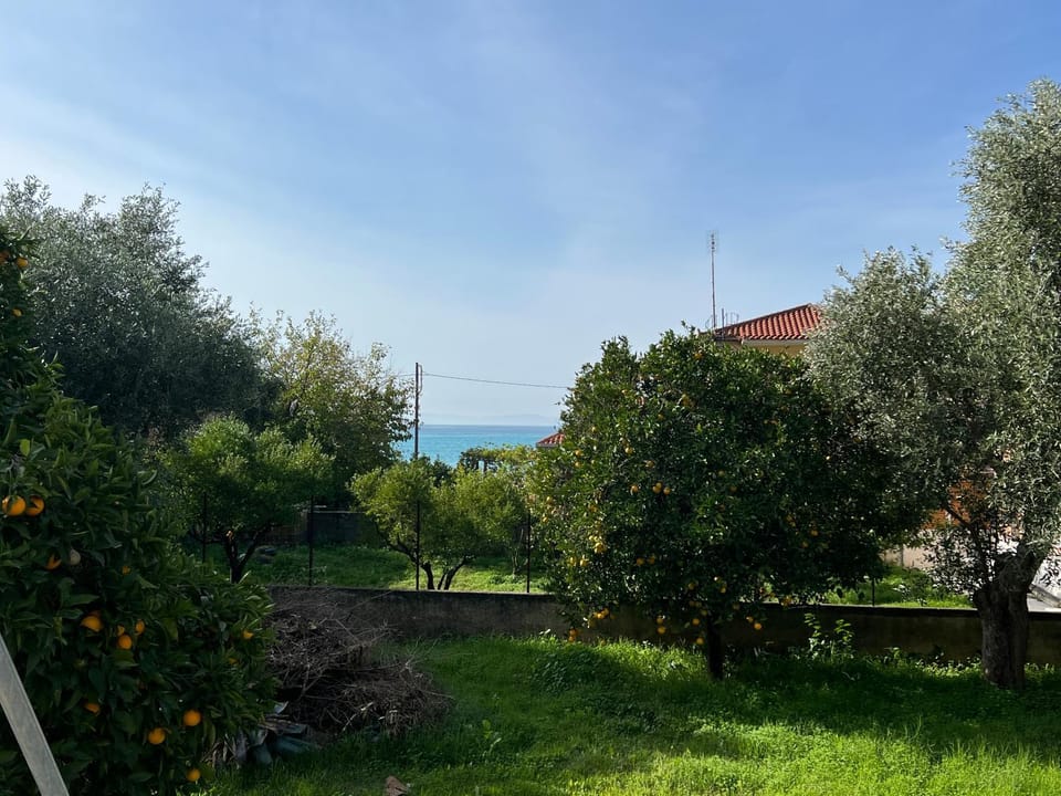 Natural landscape, Garden, Sea view