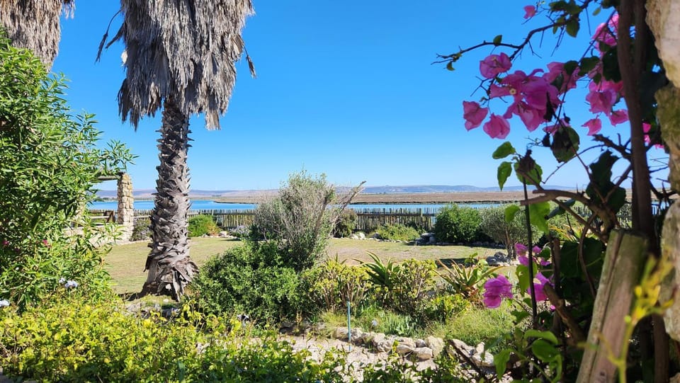 Garden, Garden view