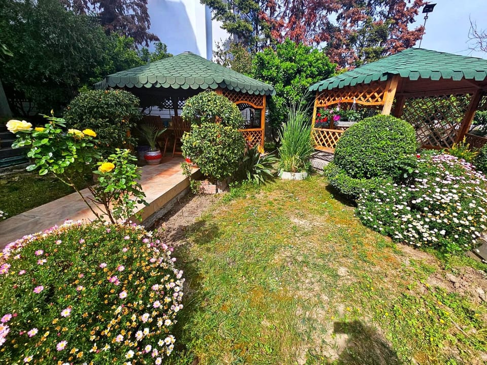 Garden, Seating area, Garden view