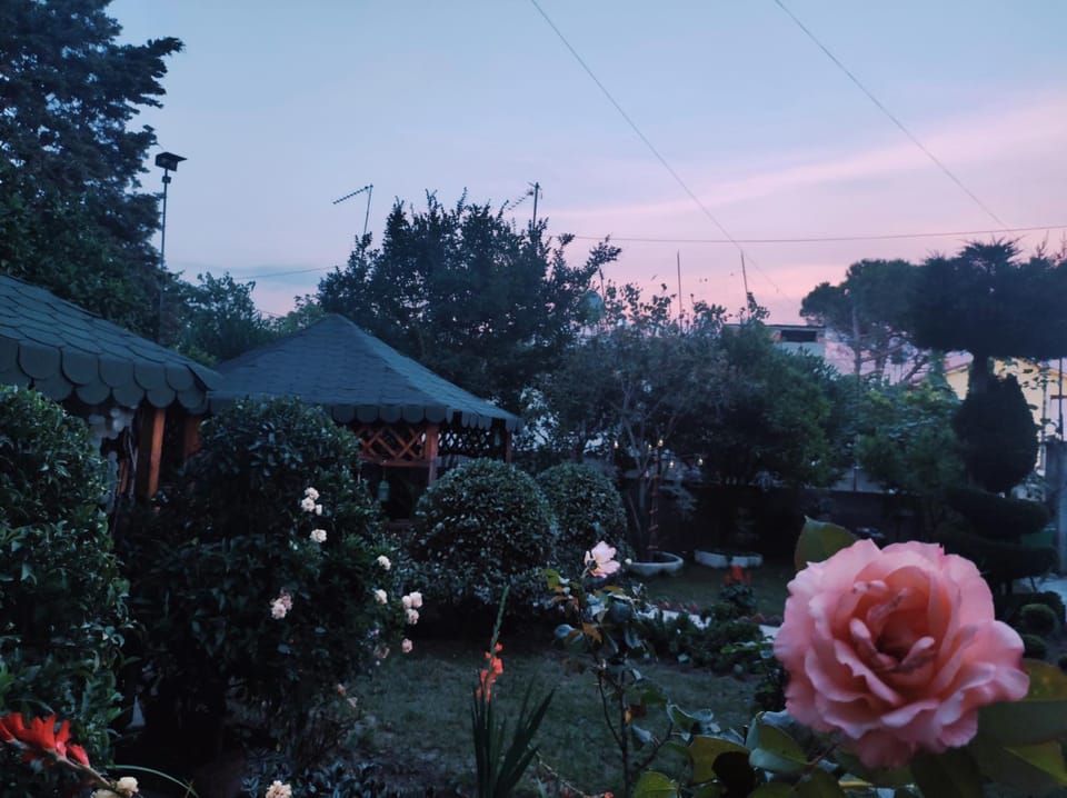 Garden, Garden view