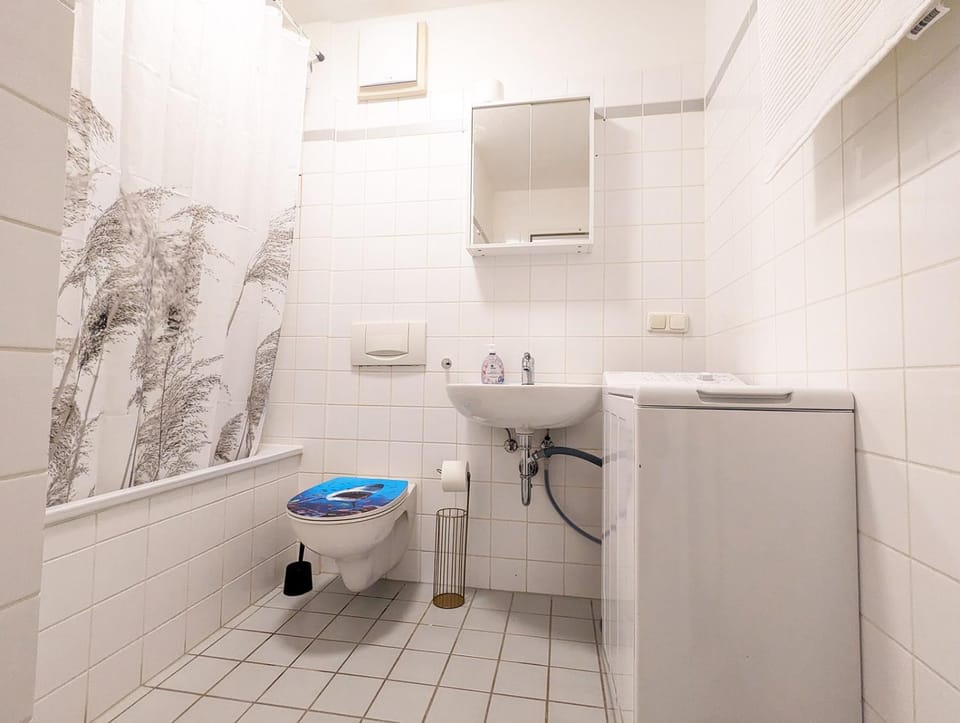 Toilet, Bathroom, towels, washing machine