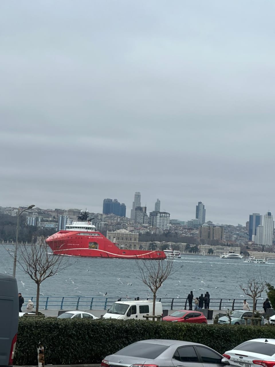 Sea view