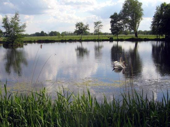 Ferienhof Am Birkensee 55125 Apartment in Lower Saxony, Germany