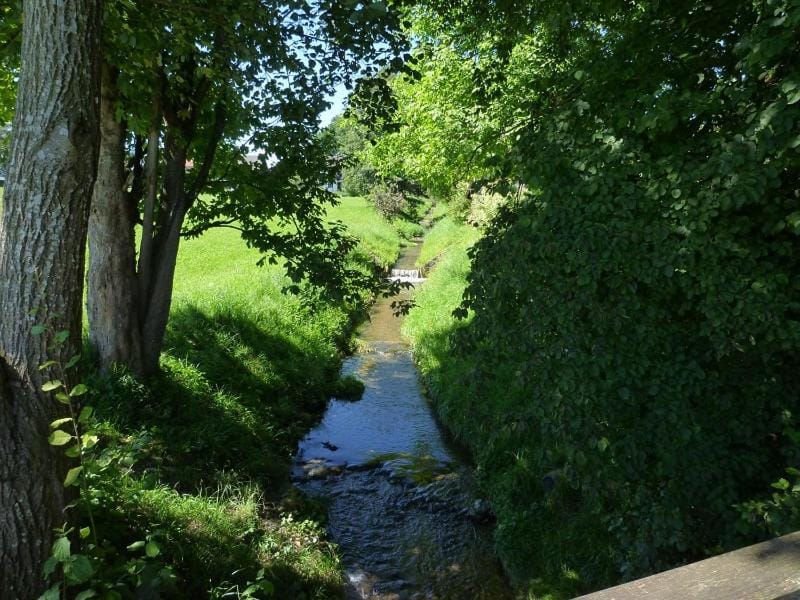 Ferienwohnungen Lärchennest zwischen Chiemsee und Bergen Apartment in Grassau
