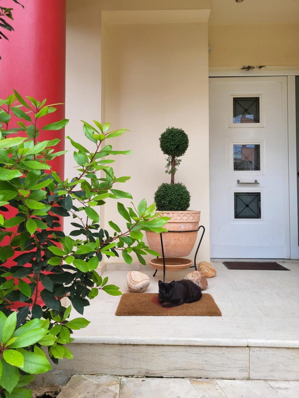 Property building, Facade/entrance, Garden
