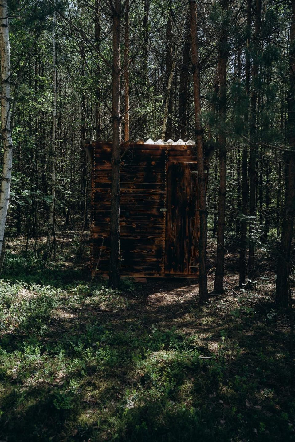 Natural landscape, Bathroom