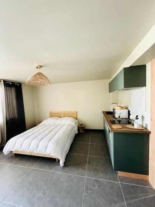 Bed, Kitchen or kitchenette, Photo of the whole room