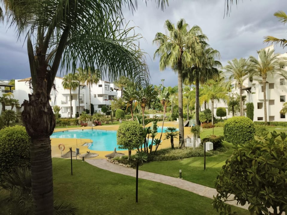 Garden, Garden view, Pool view, Swimming pool