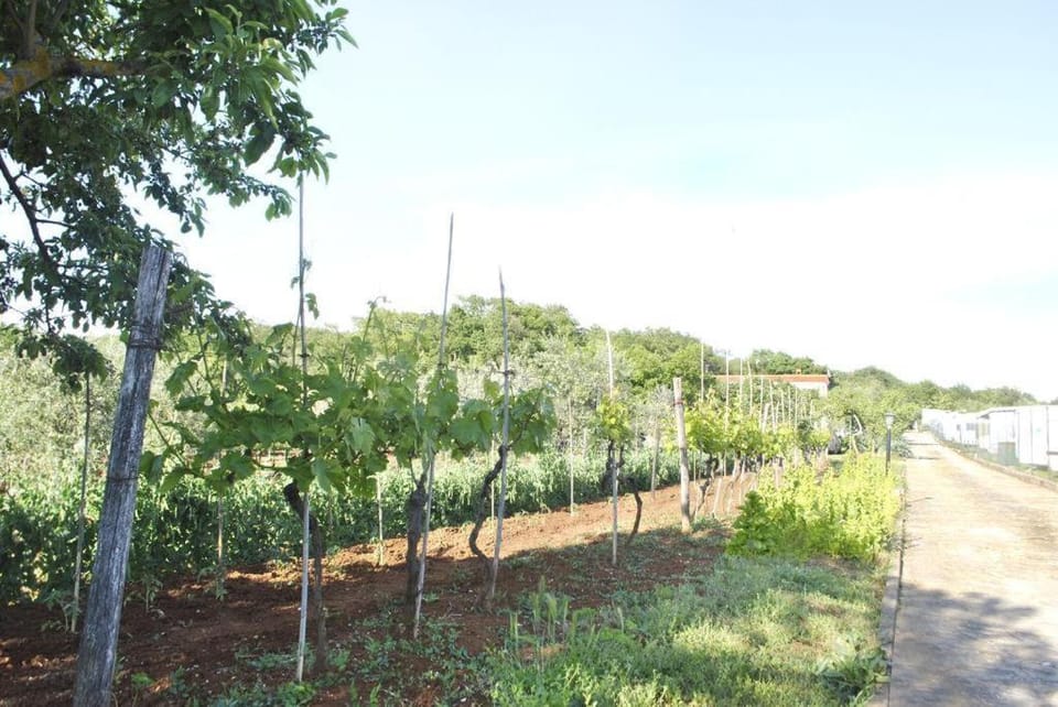Apartments Portun Apartment in Istria County