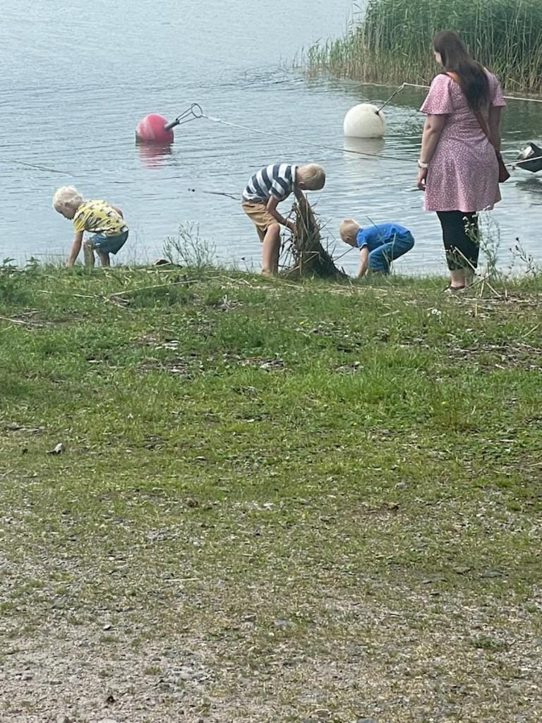Lake view