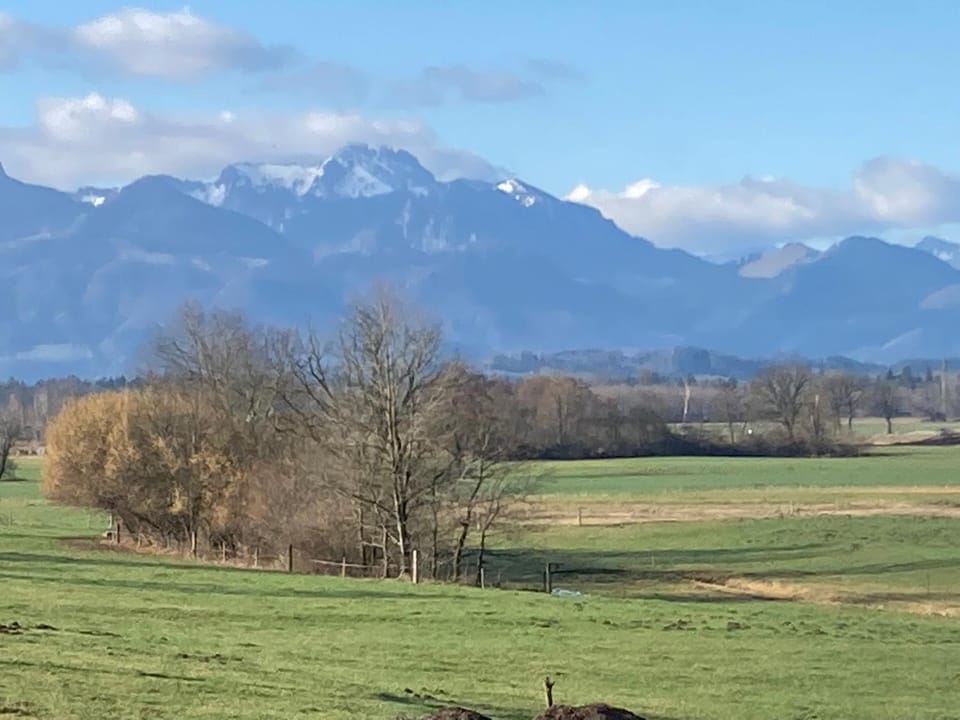 Ferienwohnung beim Binder Apartment in Salzburgerland