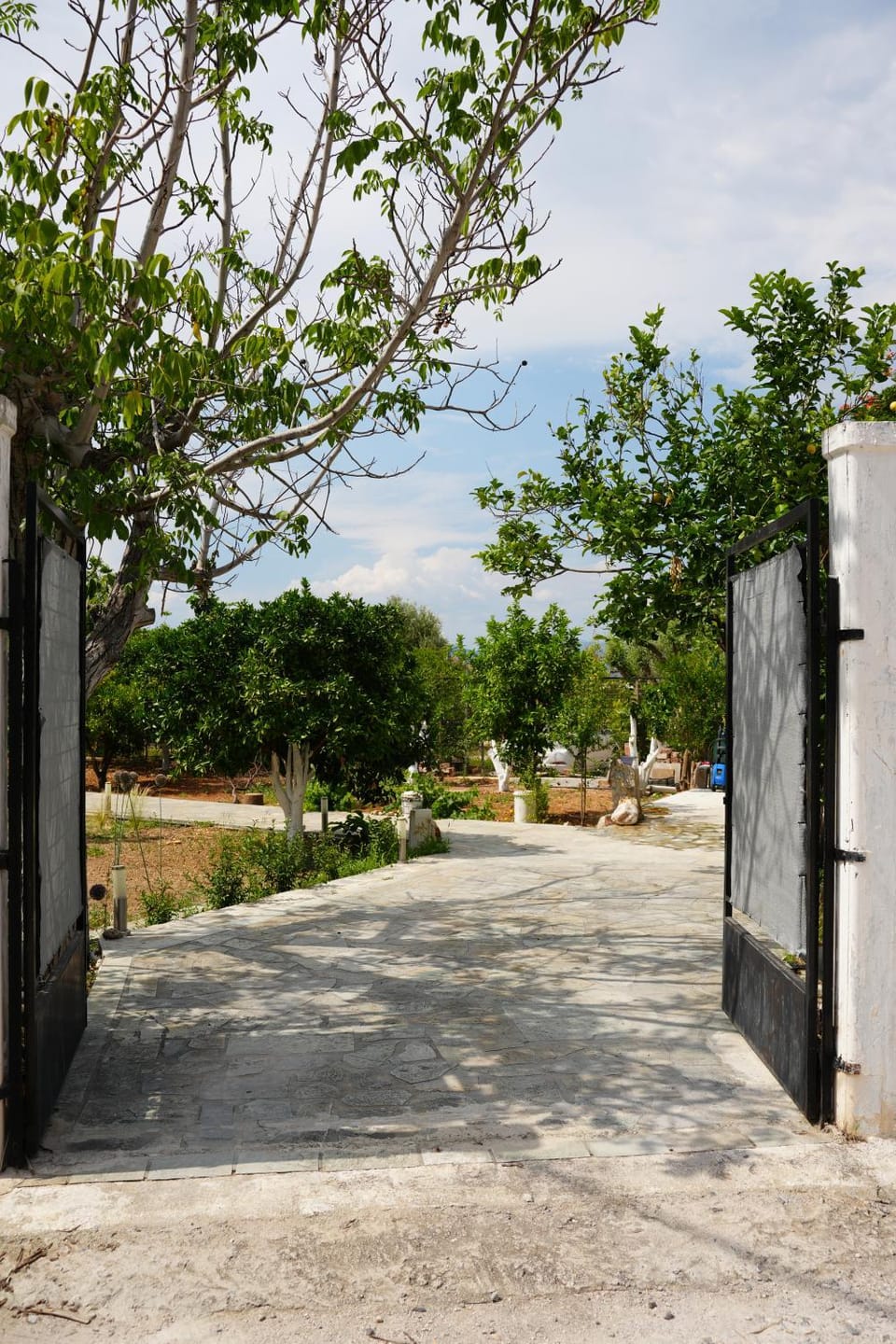 4our seasons 2 - Private Pool Apartment in East Attica Regional Unit, Greece