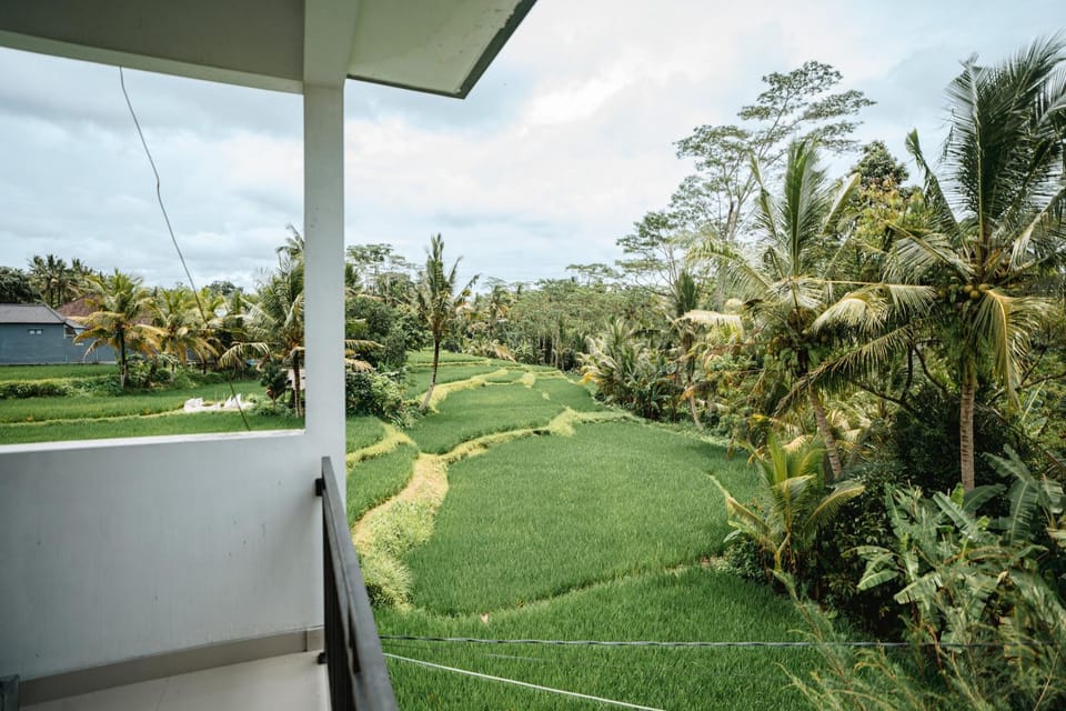 Property building, View (from property/room)