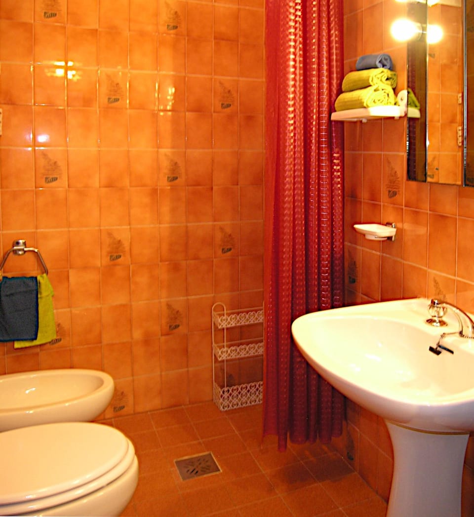 Shower, Toilet, Bathroom, bidet
