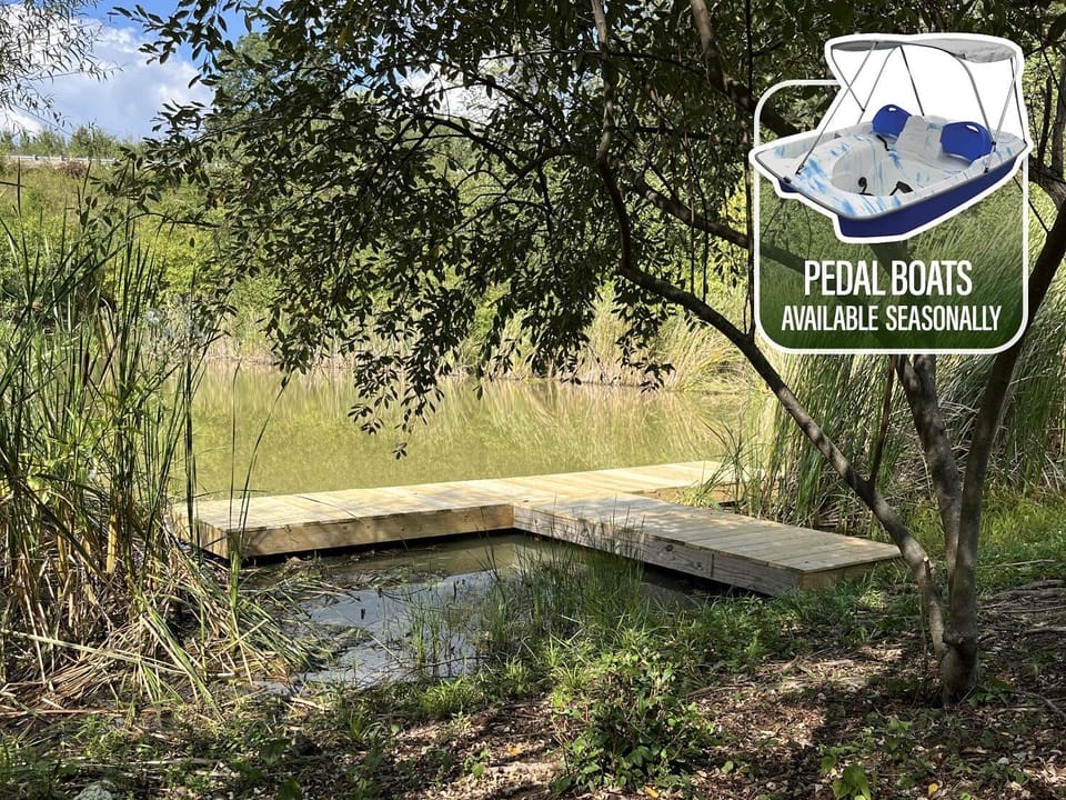 The Lodges at Eden Reserve - Pet Friendly Cabins Near Ark Cabin in Williamstown