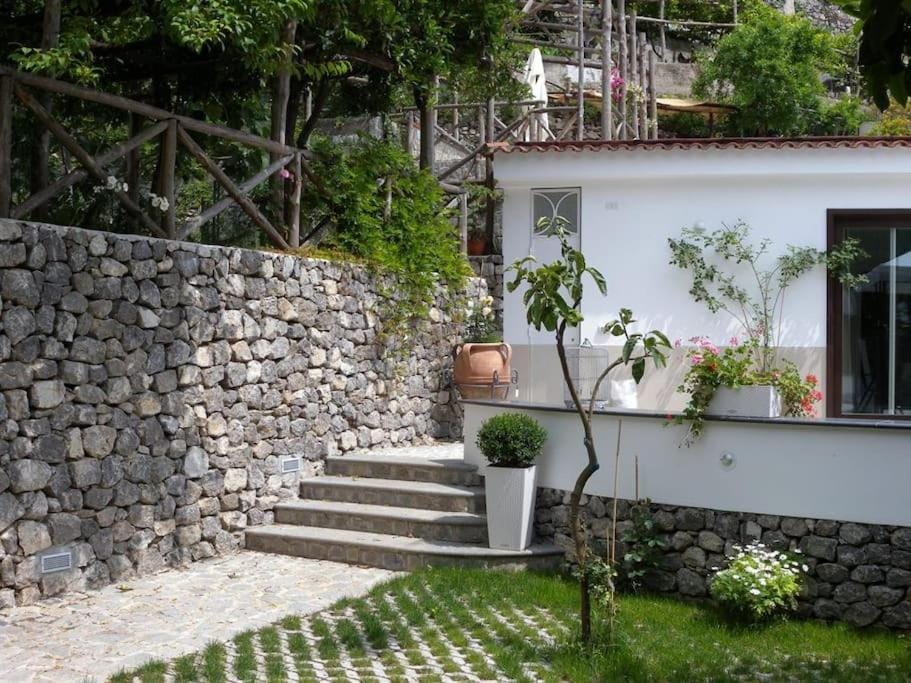 Property building, Garden, Garden view