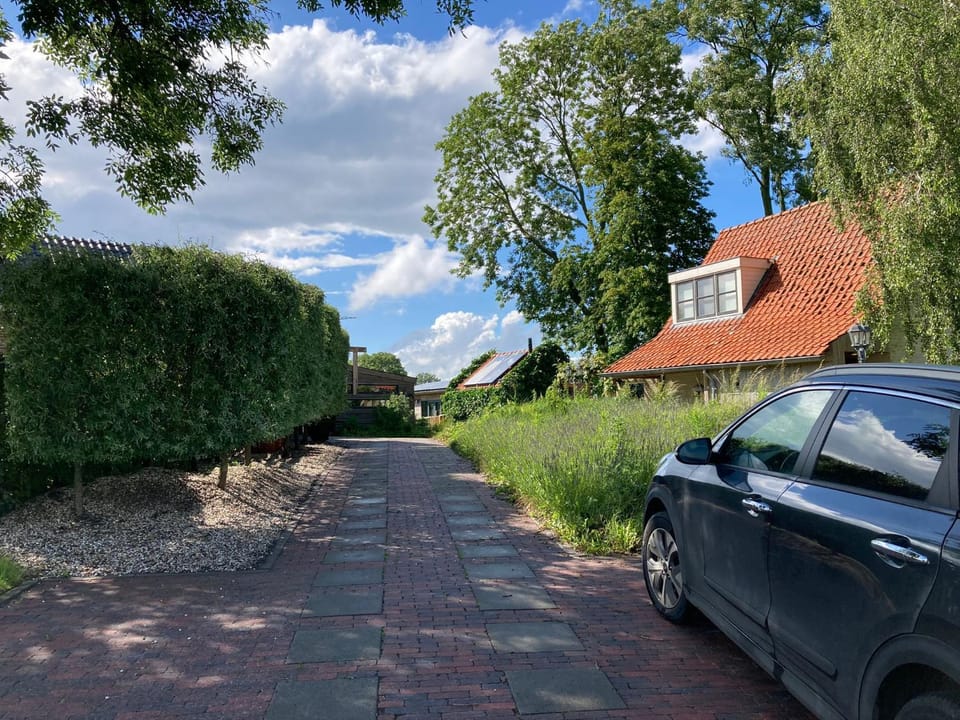Day, Street view, Parking
