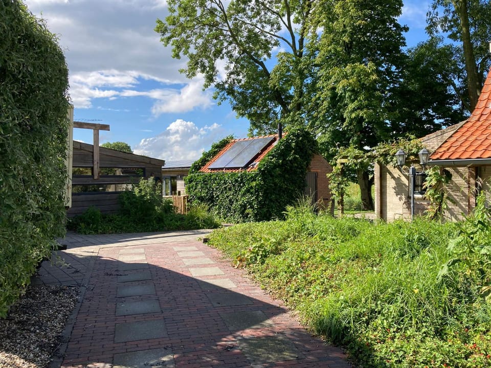 Day, Garden, Garden view, Parking